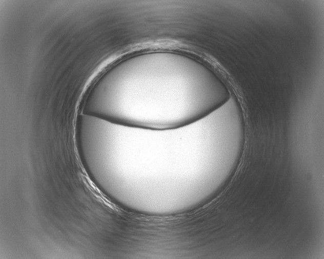 X0000086311232200703300947