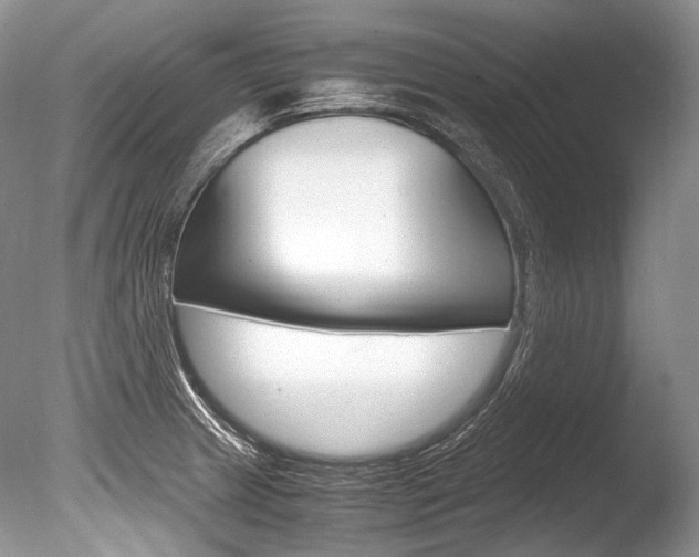 X0000086311233200703300947