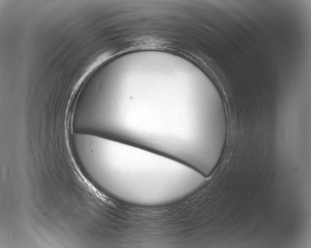 X0000086311235200703300947
