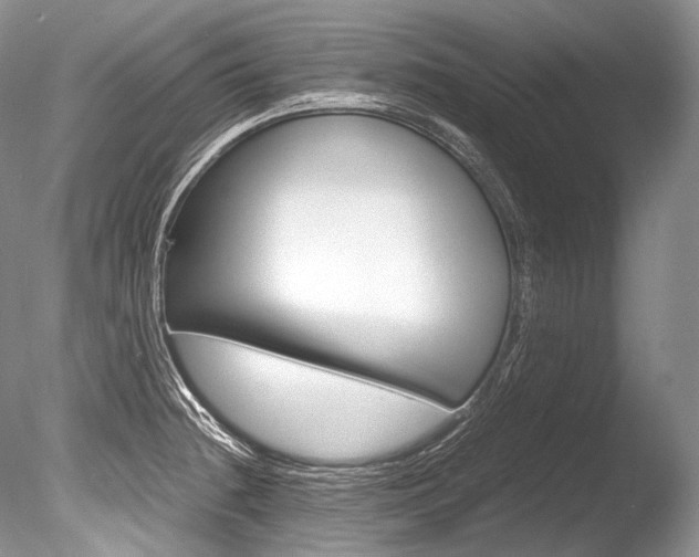 X0000086311236200703300948