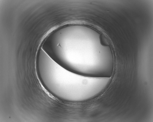 X0000086311237200703300948