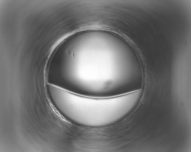 X0000086311238200703300948