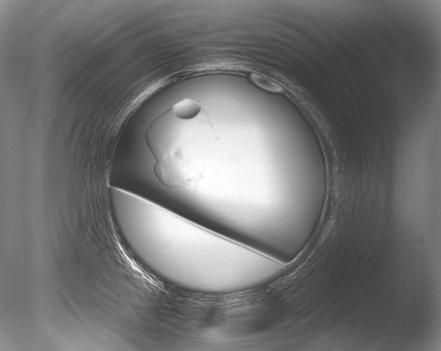 X0000086311241200703300948