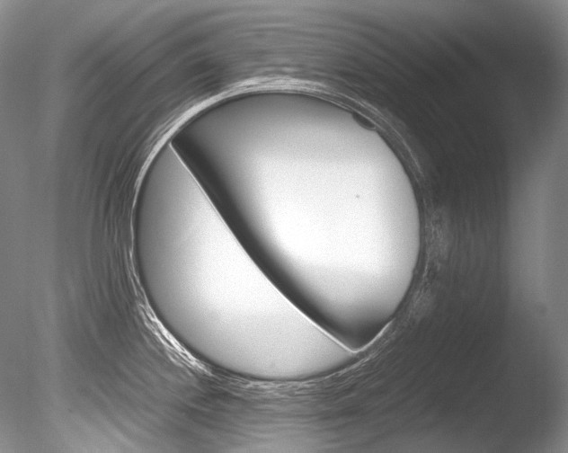 X0000086311244200703300948
