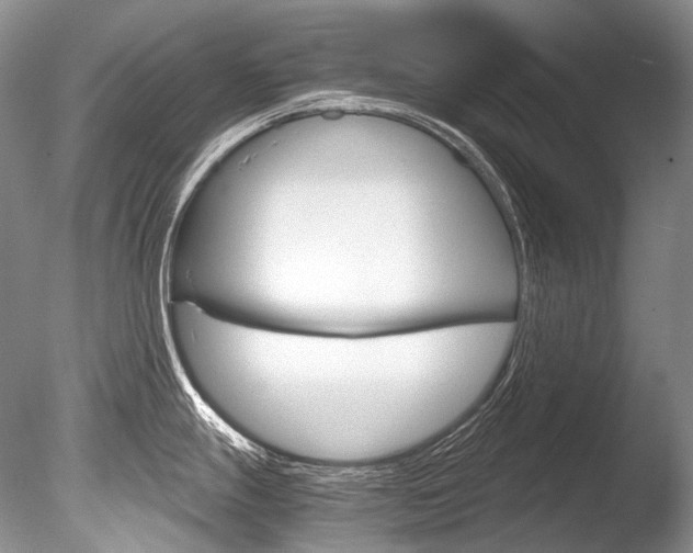 X0000086311247200703300948