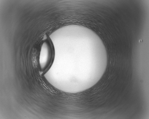 X0000086311250200703300947
