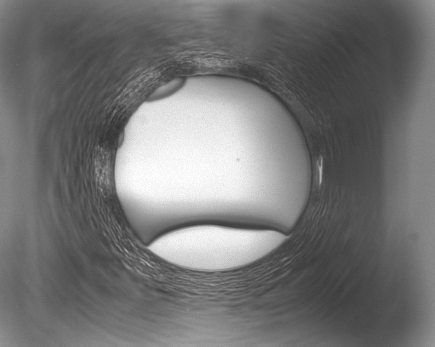 X0000086311251200703300947