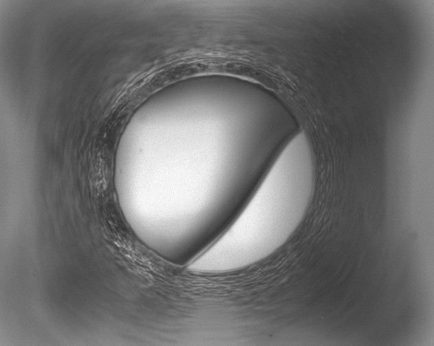 X0000086311253200703300947