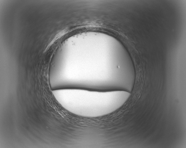 X0000086311255200703300947