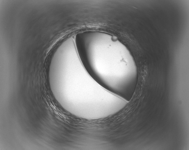 X0000086311256200703300947