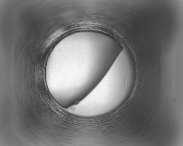 X0000086311259200703300947