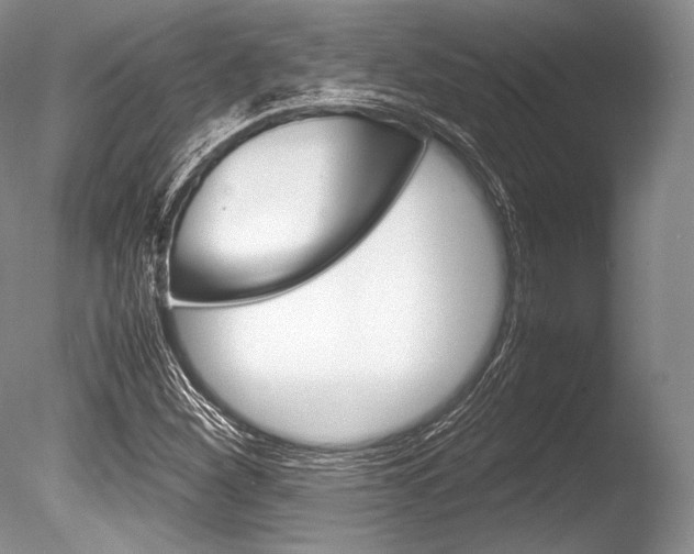 X0000086311260200703300947