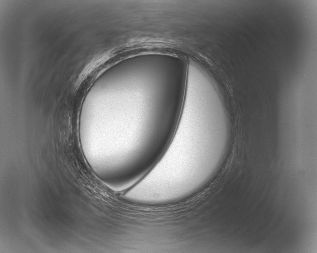 X0000086311261200703300947