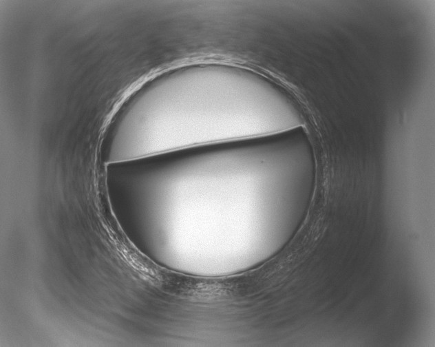 X0000086311264200703300947