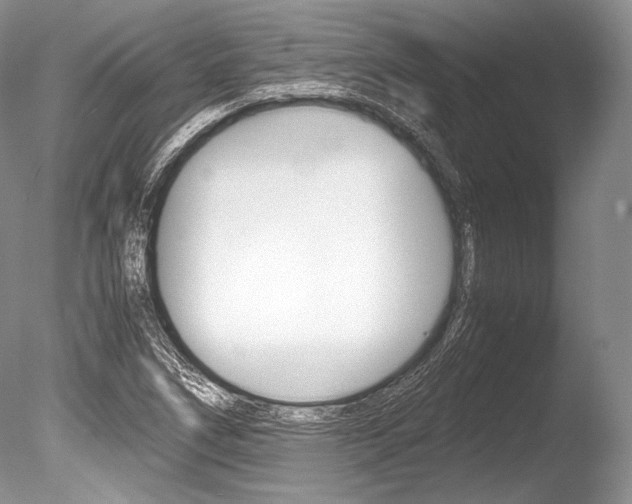 X0000086311266200703300947