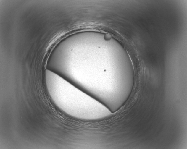 X0000086311267200703300947