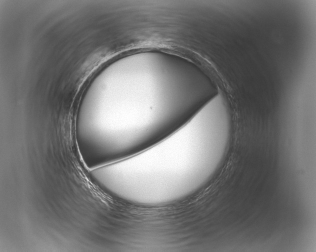 X0000086311268200703300947