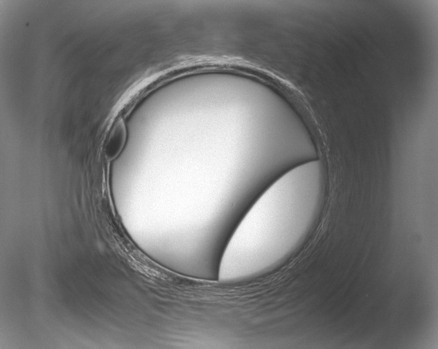 X0000086311271200703300947