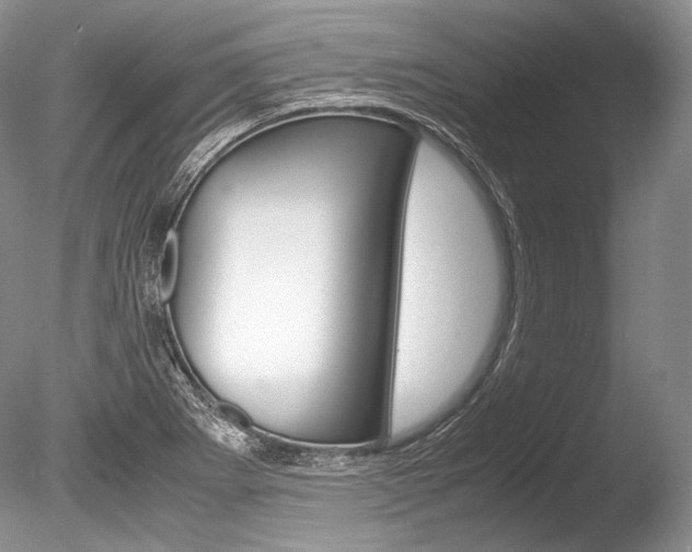 X0000086311273200703300946