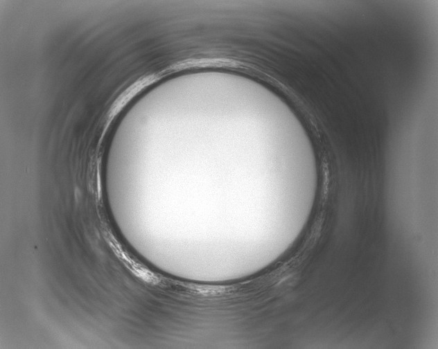 X0000086311274200703300946