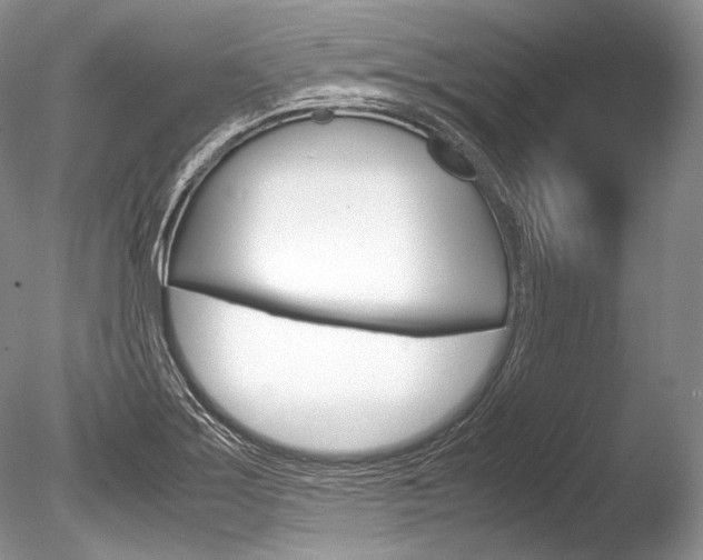 X0000086311275200703300946