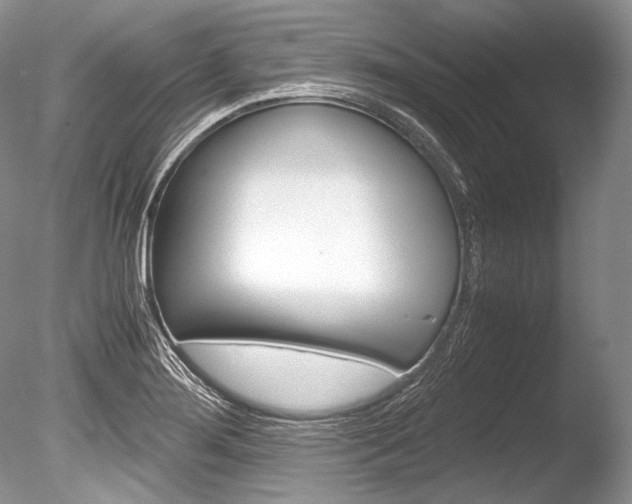 X0000086311276200703300946