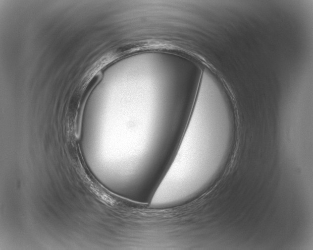 X0000086311281200703300946