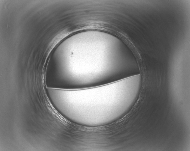 X0000086311284200703300946