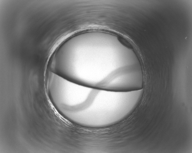 X0000086311287200703300946