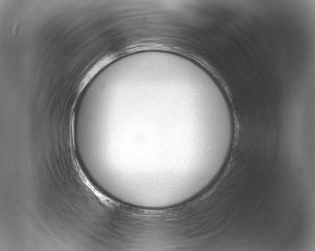 X0000086311290200703300946