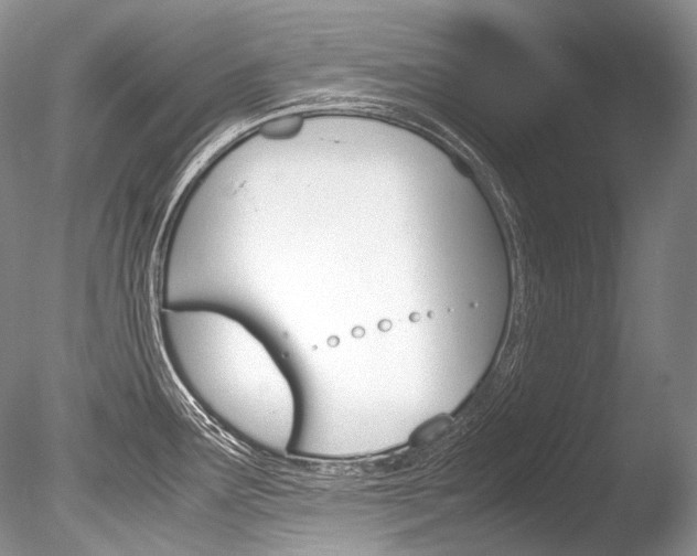 X0000086311291200703300946