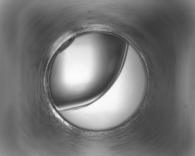 X0000086311293200703300946