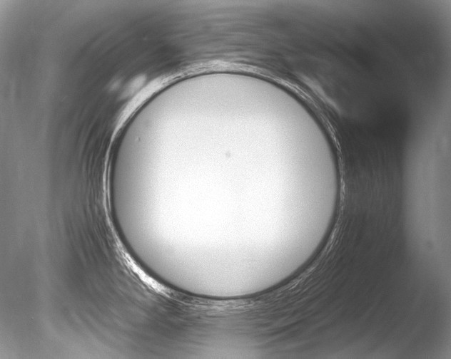 X0000086311294200703300946