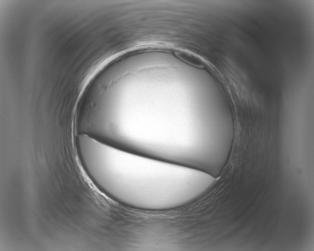 X0000086311295200703300946
