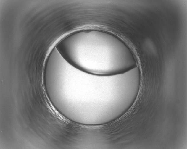 X0000086311296200703300946