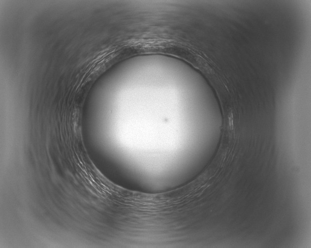 X0000086311300200703300945