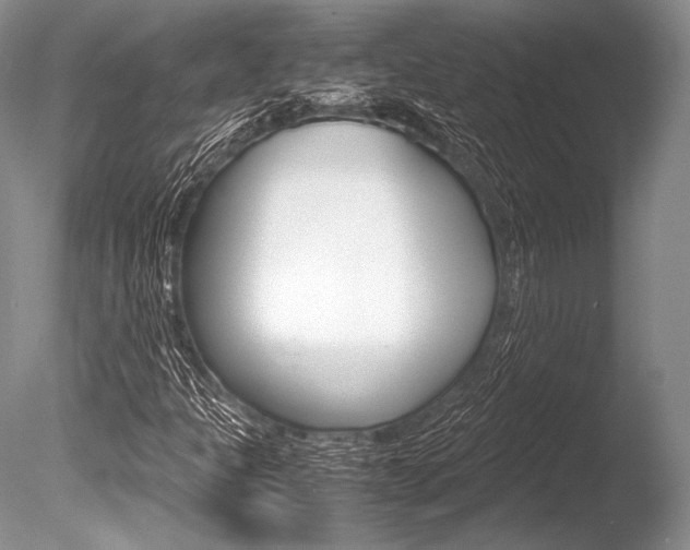 X0000086311301200703300945