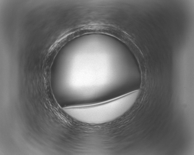 X0000086311304200703300945