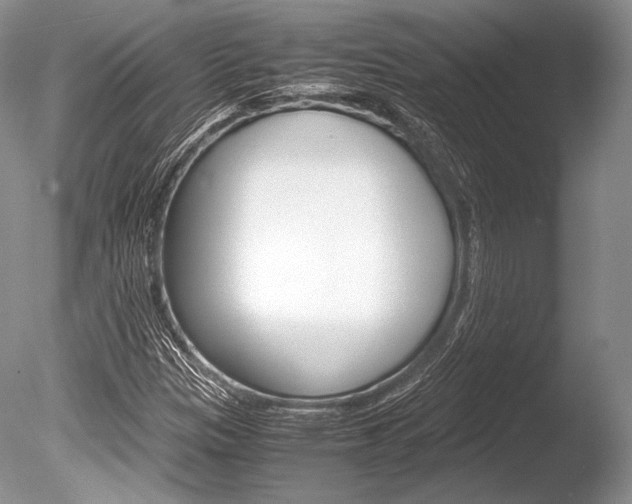 X0000086311305200703300945