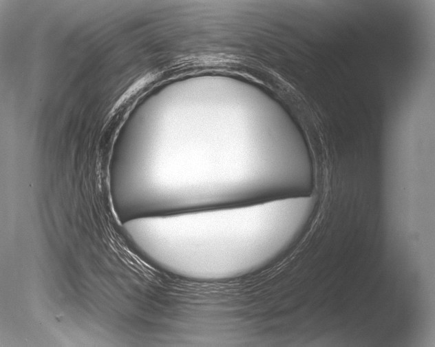 X0000086311306200703300945
