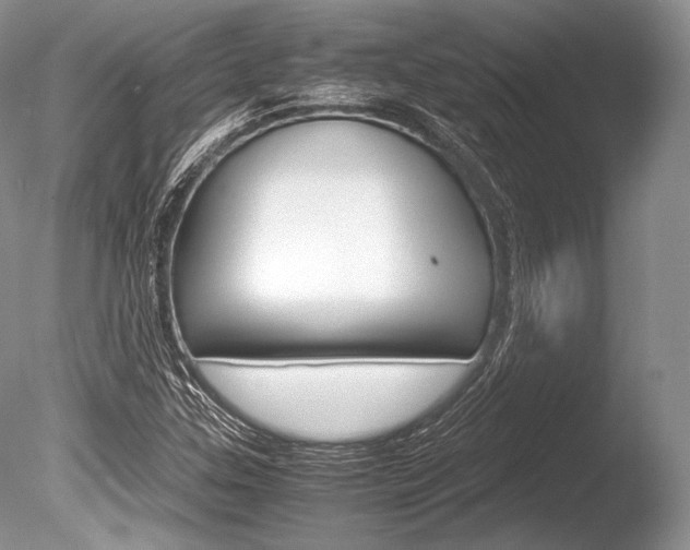 X0000086311307200703300945