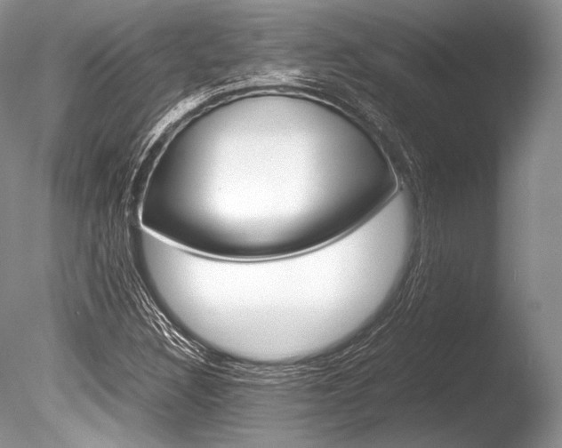 X0000086311308200703300945