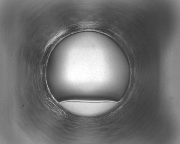 X0000086311309200703300945