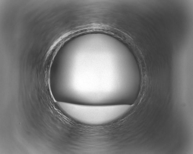 X0000086311310200703300945