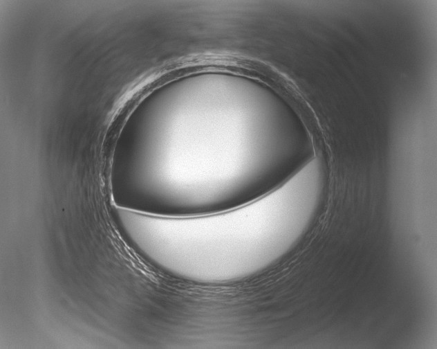 X0000086311312200703300946