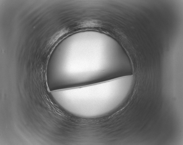X0000086311313200703300946