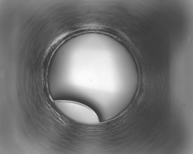 X0000086311315200703300946