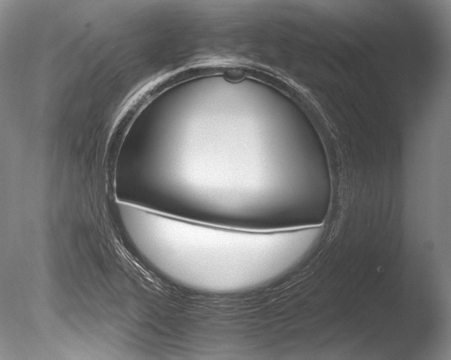 X0000086311319200703300946