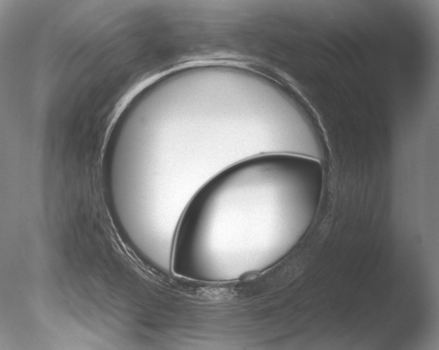 X0000086311320200703300946