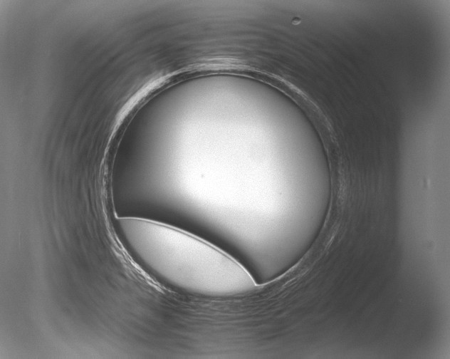 X0000086311325200703300946